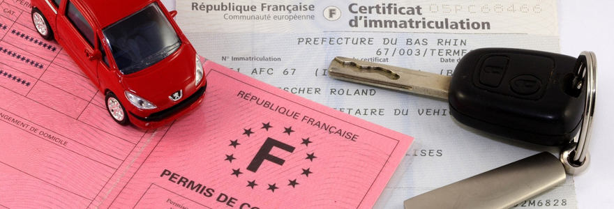 Carte grise et permis